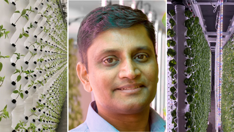 Deliplant’s commercialisation with UIC as a Key Partner